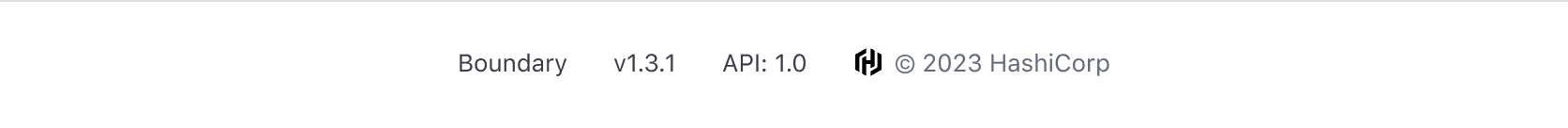 Example of the App Footer with plain text list items